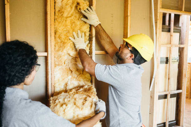Best Commercial Insulation Contractor  in Pleak, TX