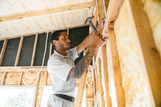 Best Insulation Replacement Services  in Pleak, TX