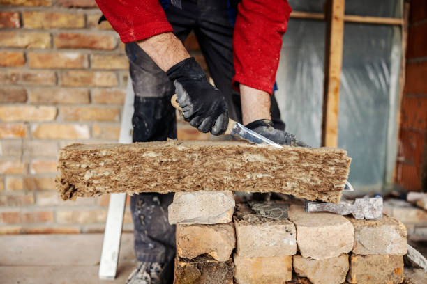 Insulation Repair Services in Pleak, TX